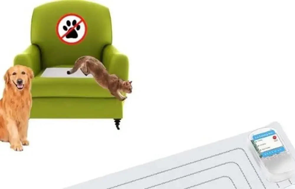 SEERWAY Pet Training Mat, Small 22